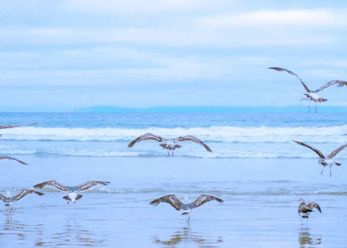 Nordseezauber - Aan Zee Holiday home Callantsoog