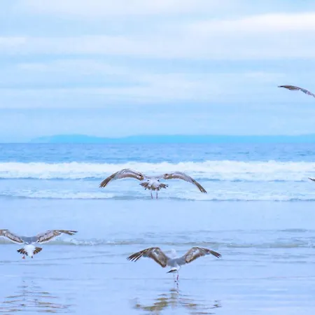 Nordseezauber - Aan Zee Prázdninový dům Callantsoog